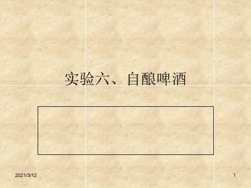 实验六-自酿啤酒PPT课件