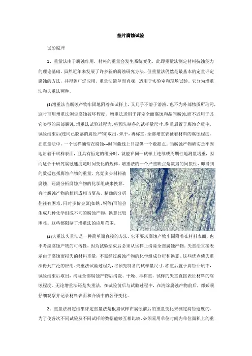 挂片腐蚀试验