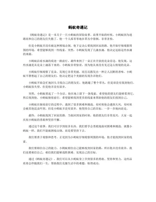 蚂蚁奇遇记