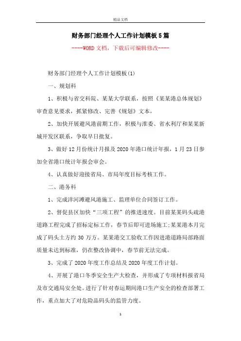 财务部门经理个人工作计划模板5篇
