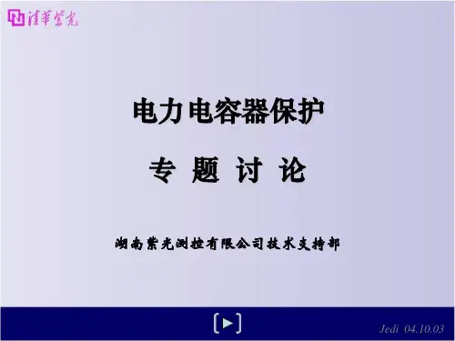 电力电容器专题讨论知识分享