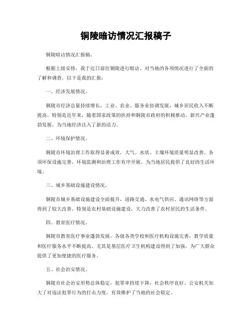 铜陵暗访情况汇报稿子