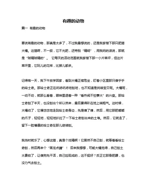 作文《有趣的动物》