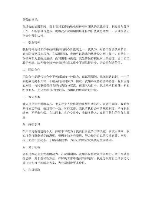 转正报告中的价值观