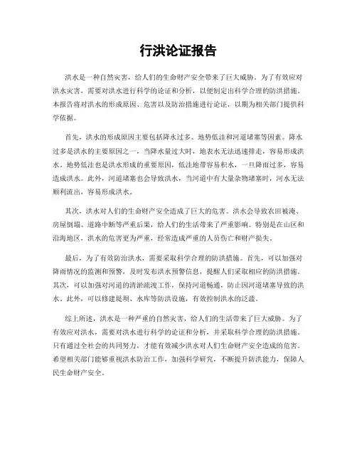 行洪论证报告