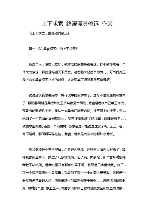 上下求索 路漫漫其修远 作文