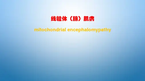 线粒体(脑)肌病课件