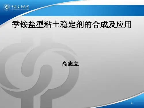 季铵盐粘土稳定剂(课堂PPT)