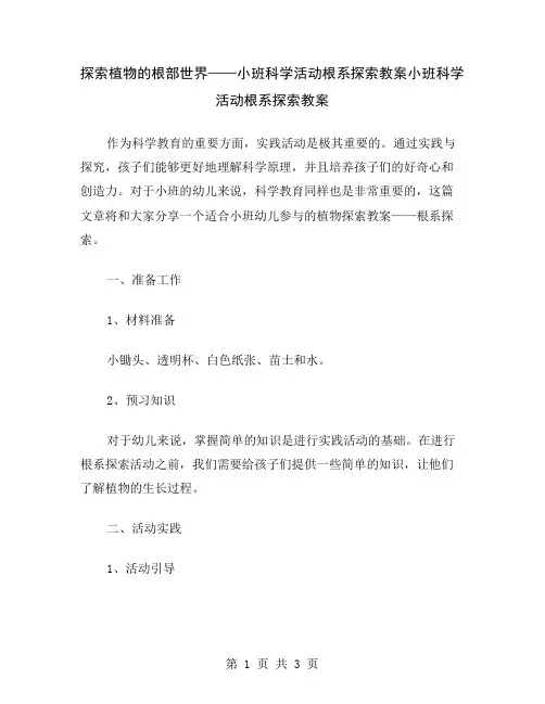 探索植物的根部世界——小班科学活动根系探索教案