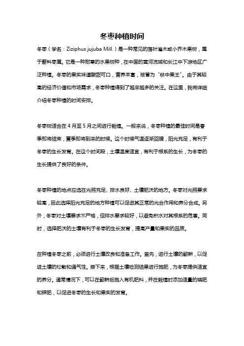 冬枣种植时间