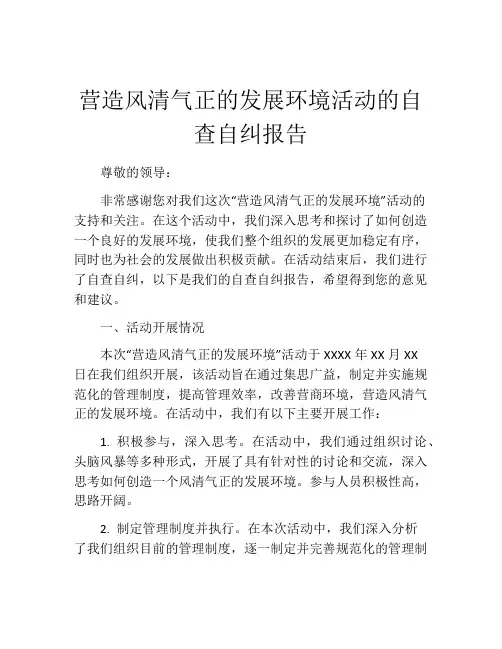 营造风清气正的发展环境活动的自查自纠报告