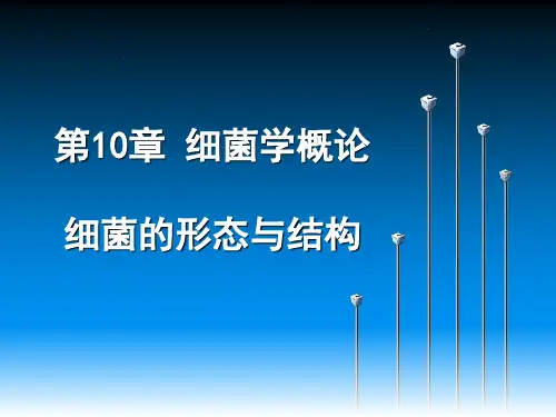 细菌学概论