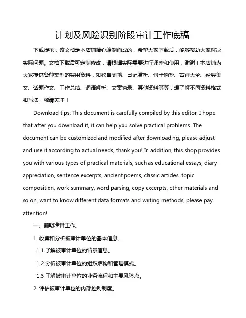 计划及风险识别阶段审计工作底稿