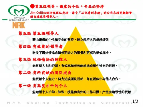 第五级领导者