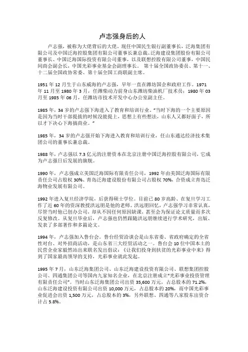 卢志强身后的人