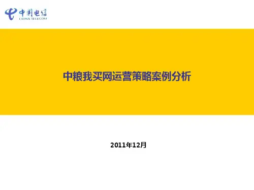 中粮我买网运营策略案例分析v10提交