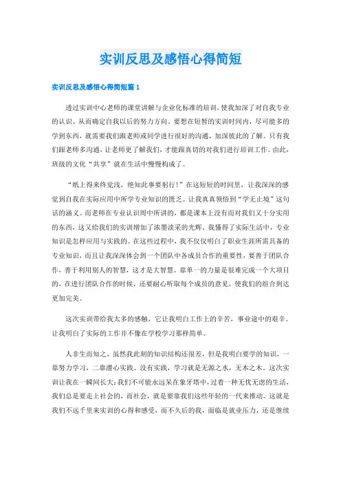 实训反思及感悟心得简短