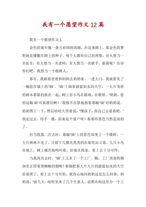 我有一个愿望作文12篇