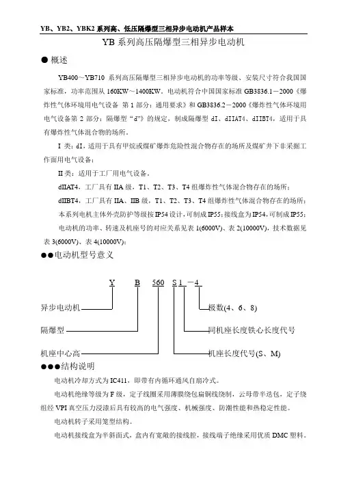 YB系列高压隔爆型三相异步电机动