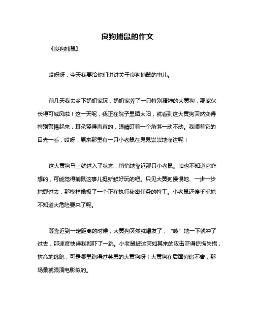 良狗捕鼠的作文