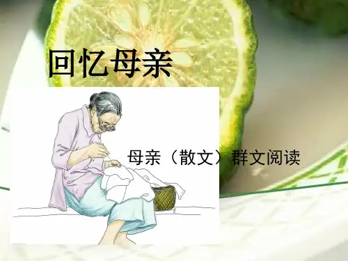 母亲散文群文阅读