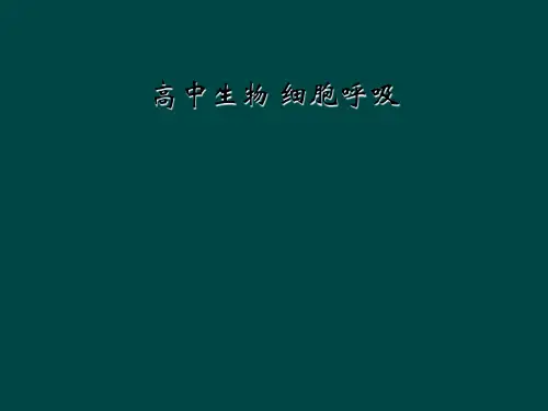 高中生物 细胞呼吸