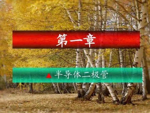 c12半导体二极管