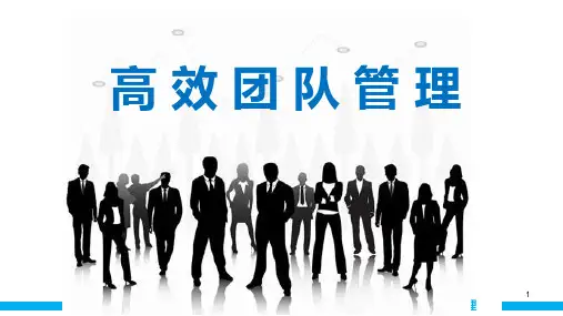 高效团队管理ppt课件
