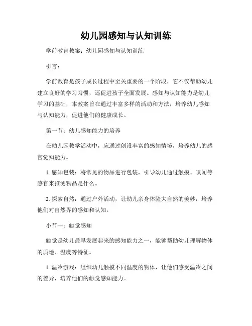 幼儿园感知与认知训练