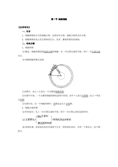 高一生物必修一细胞增殖练习题及答案