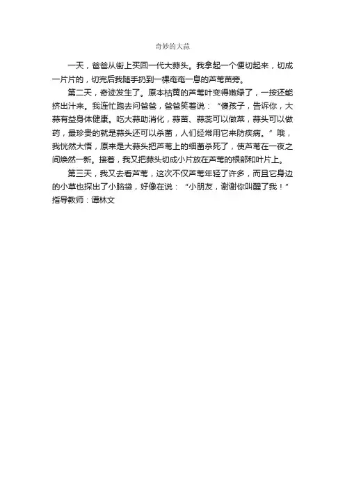 作文：奇妙的大蒜