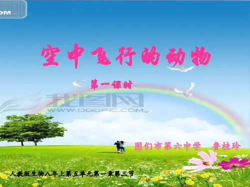 课件：空中飞行的动物(第一课时)