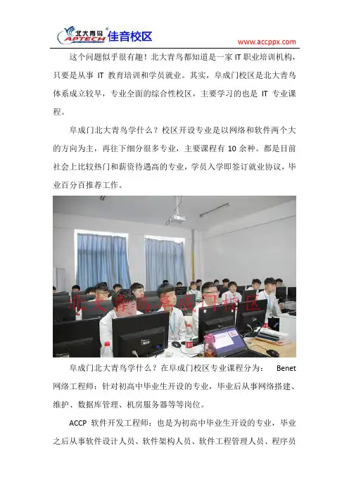 阜成门北大青鸟学什么专业好