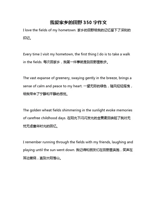 我爱家乡的田野350字作文
