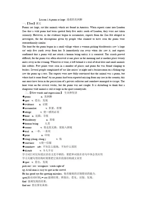 LessonApumaaarge逃遁的美洲狮