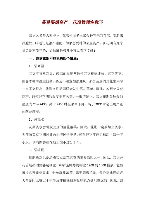 芸豆要想高产,花期管理注意下
