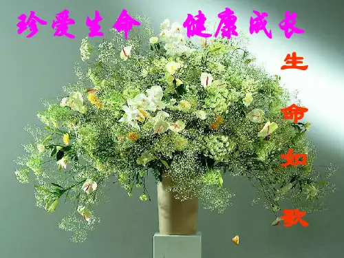 小学生健康教育班会课件珍爱生命,健康成长(共29张PPT) PPT