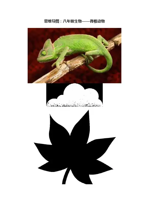 思维导图：八年级生物——脊椎动物