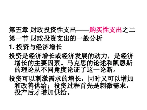 5政府投资性支出