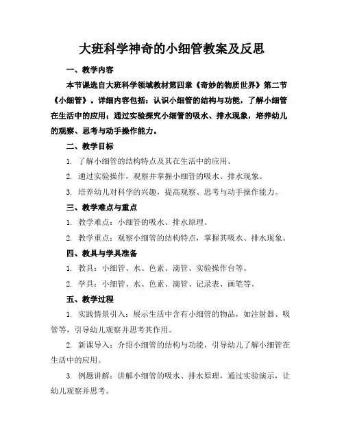 大班科学神奇的小细管教案及反思