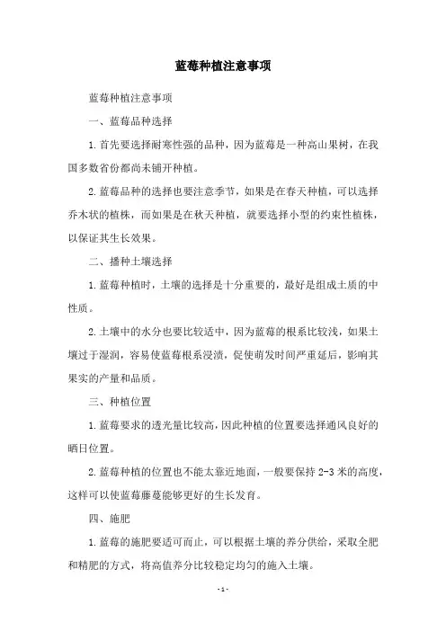 蓝莓种植注意事项