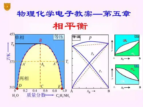 南京大学物理化学第五版05章_相平衡