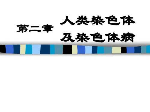 人类染色体及染色体病