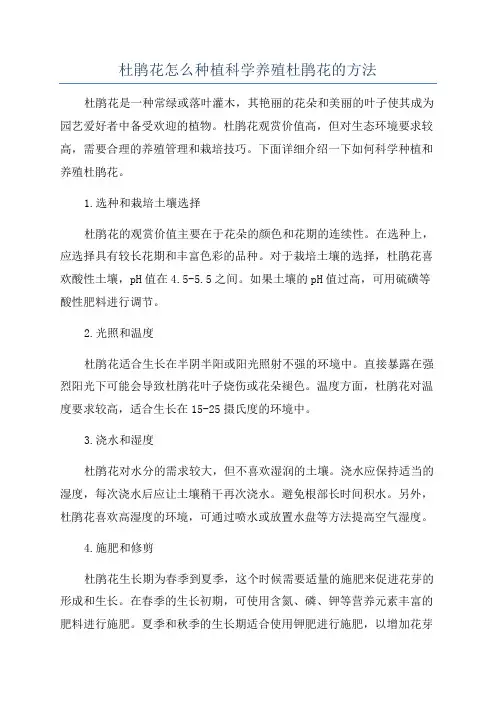 杜鹃花怎么种植科学养殖杜鹃花的方法
