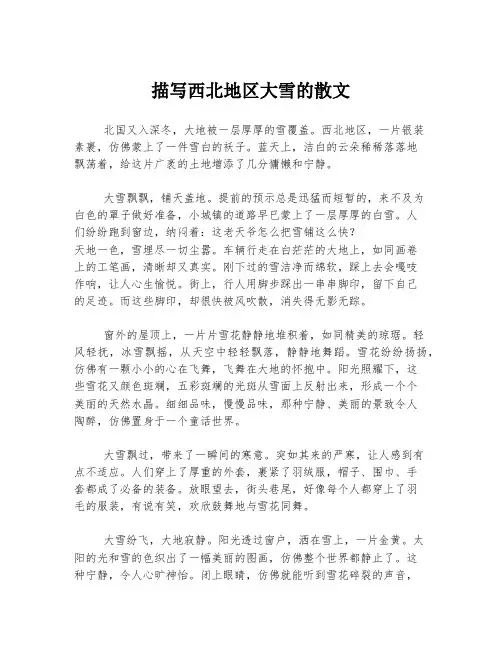 描写西北地区大雪的散文