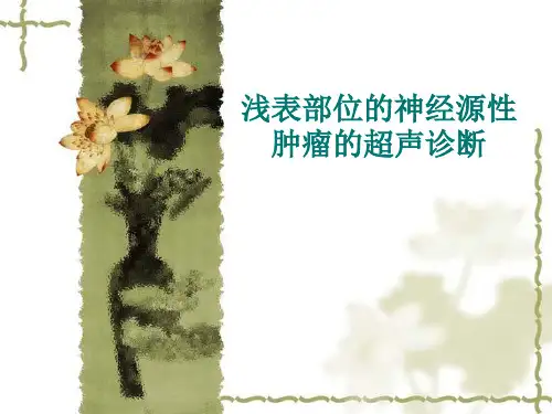 浅表部位的神经源性肿瘤的超声诊断
