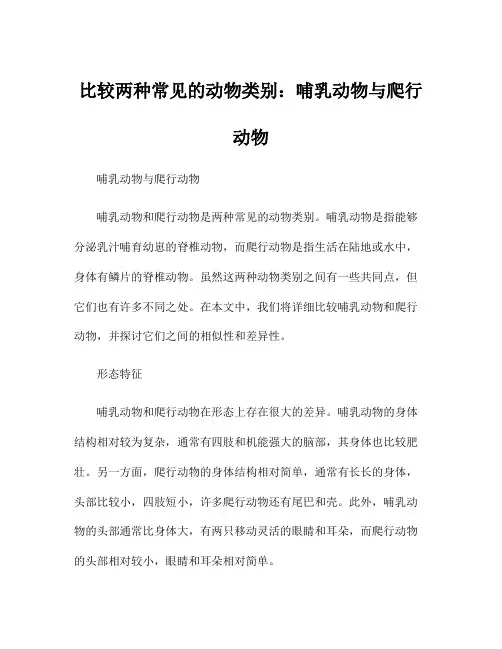 比较两种常见的动物类别：哺乳动物与爬行动物