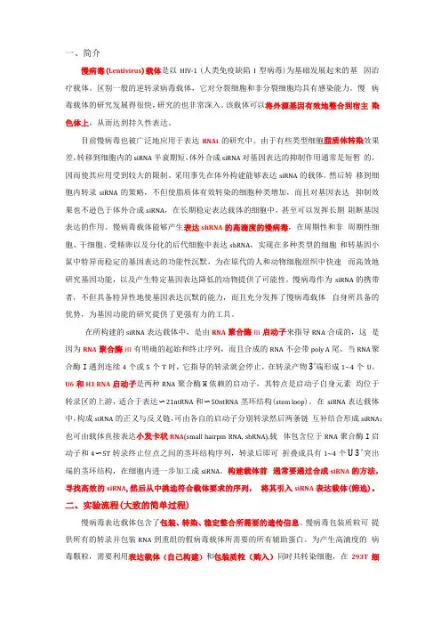 慢病毒载体构建步骤