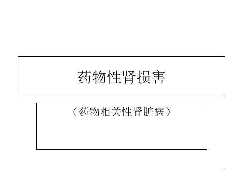 药物性肾损害课件
