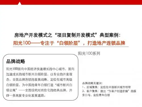 阳光100发展模式总结